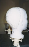 Custom template of the back of her head